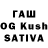 Галлюциногенные грибы GOLDEN TEACHER Most_Wanted
