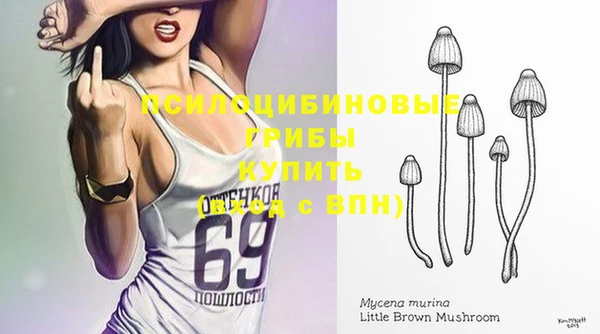 гидра Одинцово