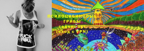 эйфоретик Михайловка
