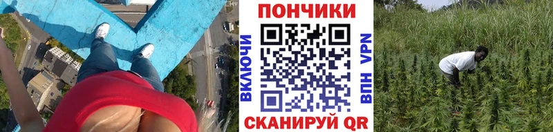 Купить закладки  Коркино  Бошки Шишки OG Kush 
